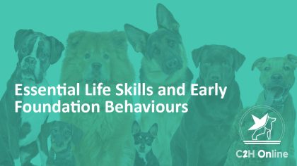 Essential Life Skills and Early Foundation Behaviours